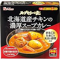 Amazon.co.jp: カレー レトルトカレー 大泉洋の本日のスープカレーの